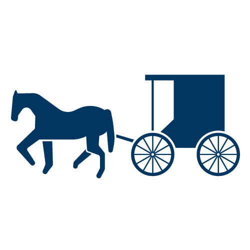 horse and buggy icon